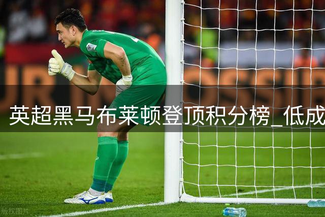 英超黑马布莱顿登顶积分榜 低成本运营缔造奇迹